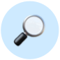 Feature icon